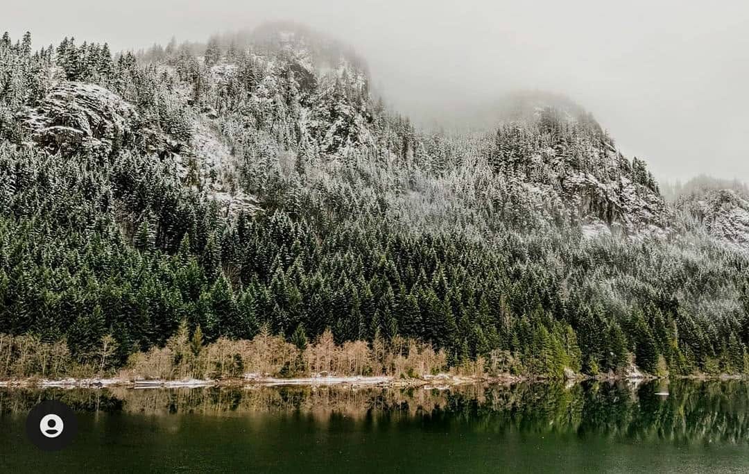 Post 8 by Discover Vancouver Island on Instagram (image)
