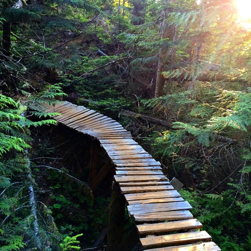 Post 4 by Discover Vancouver Island on Instagram (image)
