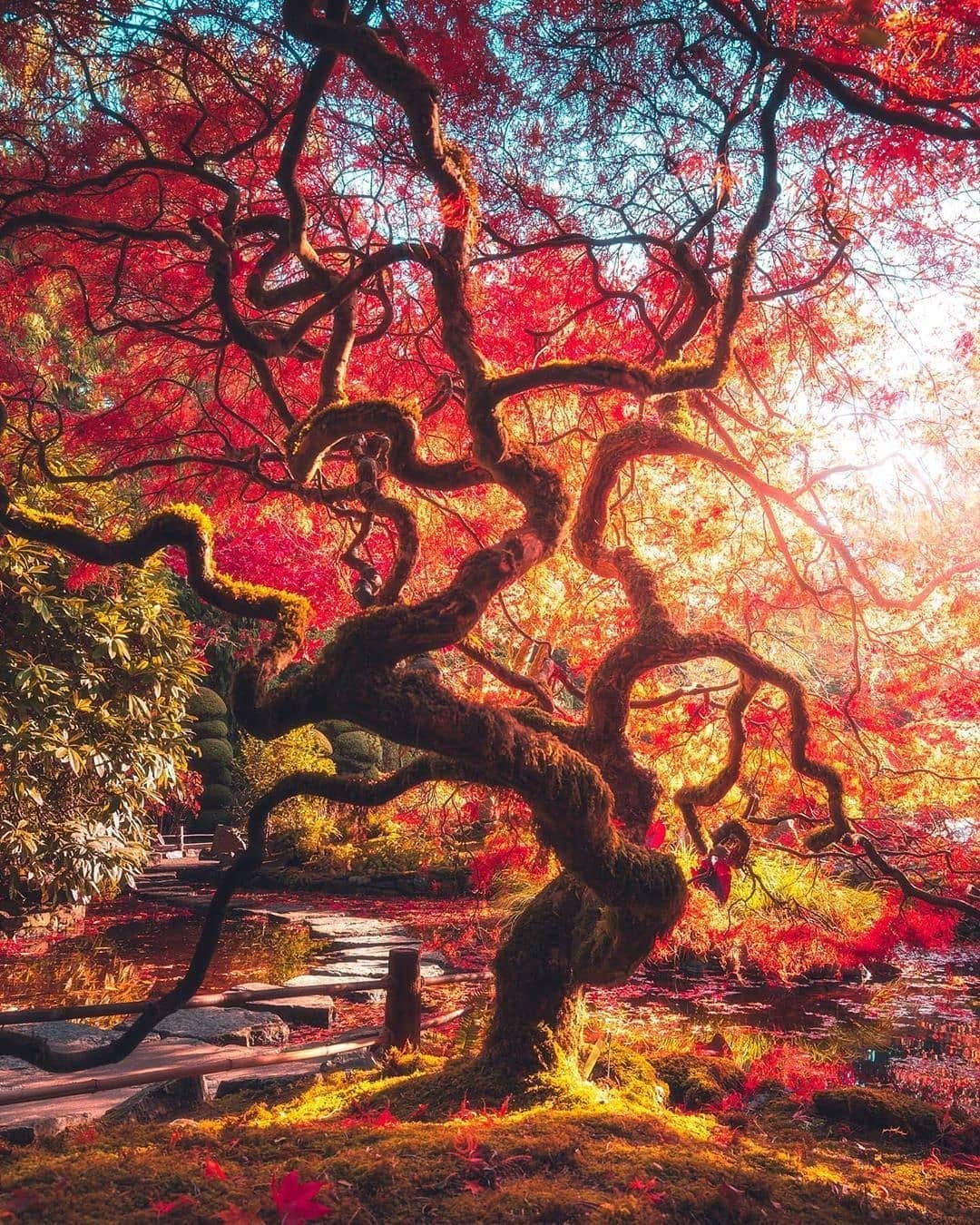 Post 10 by Discover Vancouver Island on Instagram (image)