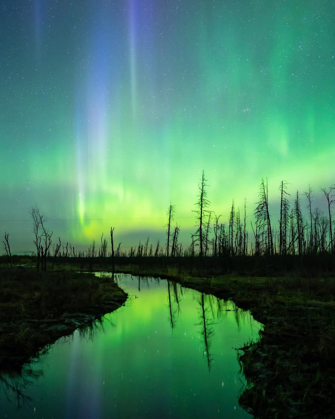 Post 9 by Northern Escape Photography on Instagram (image)