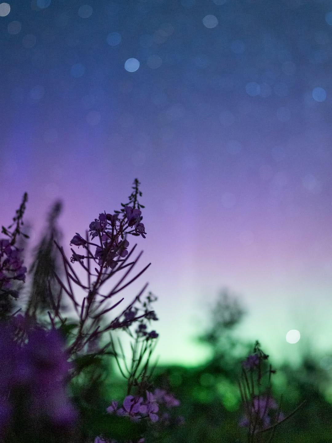 Post 1 by Northern Escape Photography on Instagram (carousel)