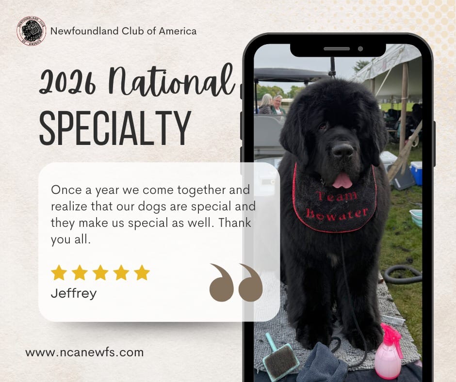 Post 4 by Newfoundland Club of America on Instagram (image)