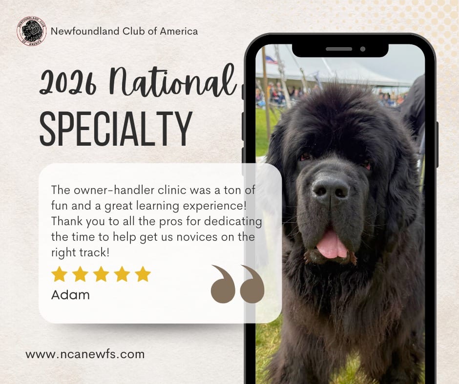 Post 8 by Newfoundland Club of America on Instagram (image)