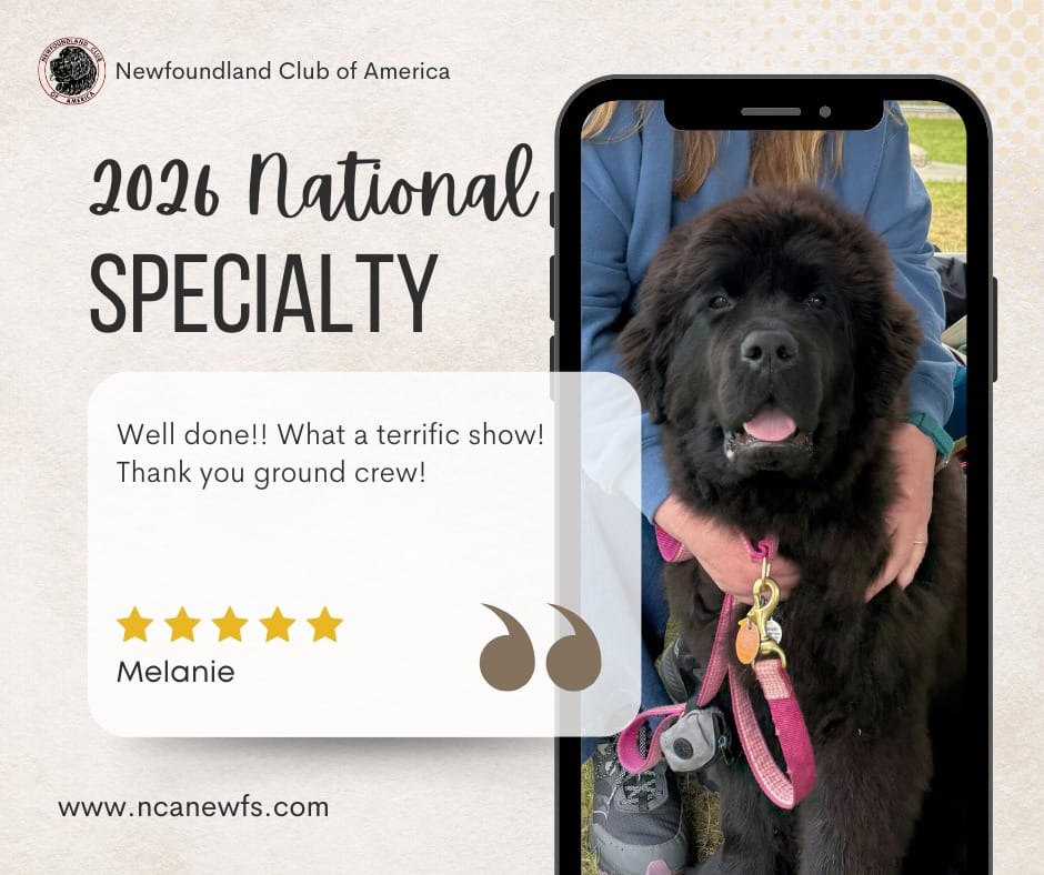 Post 10 by Newfoundland Club of America on Instagram (image)