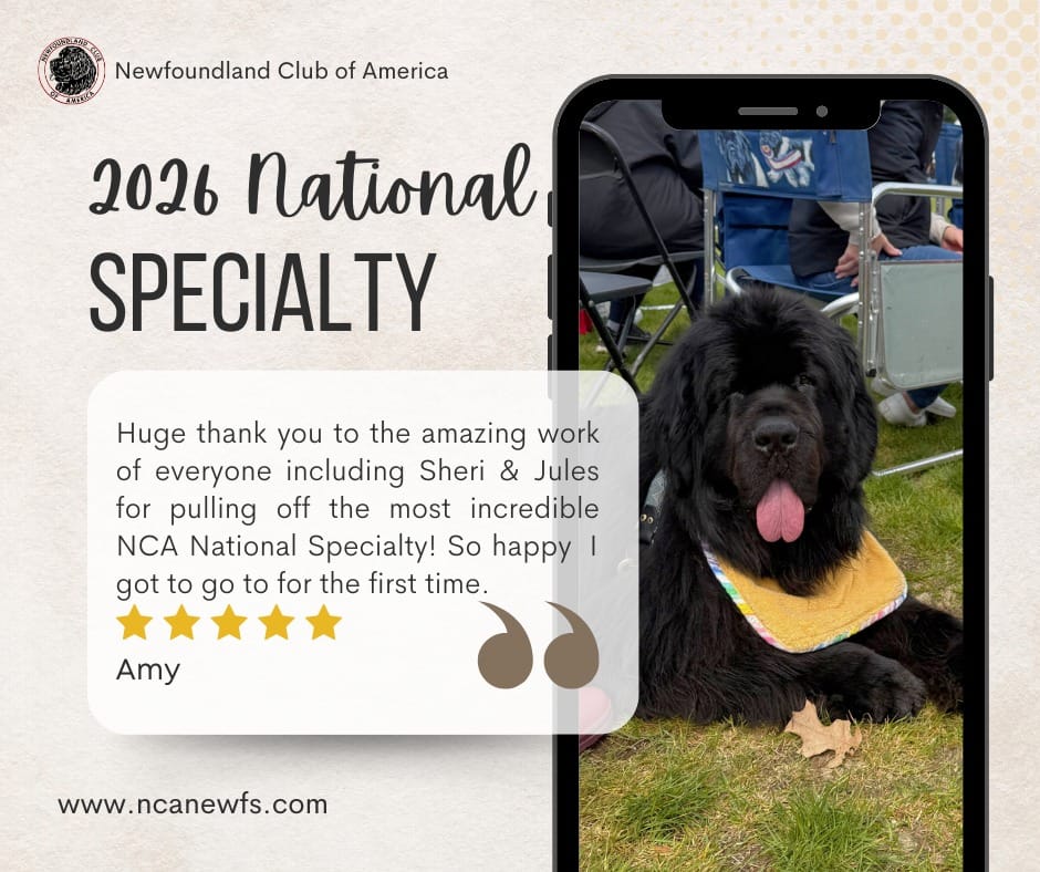 Post 6 by Newfoundland Club of America on Instagram (image)
