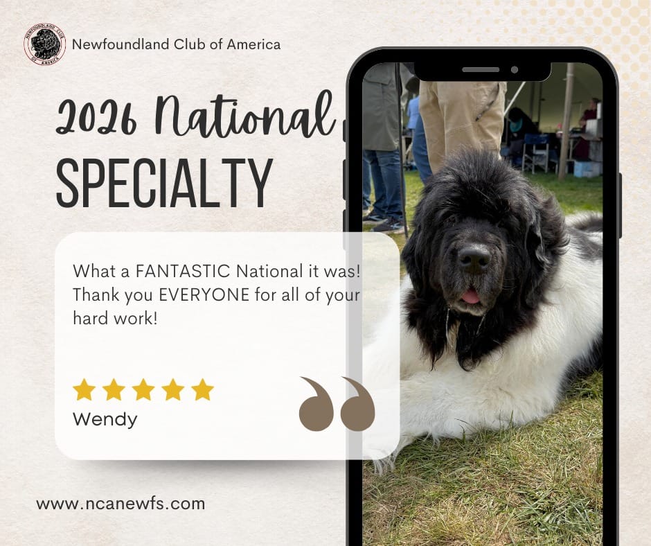 Post 1 by Newfoundland Club of America on Instagram (image)