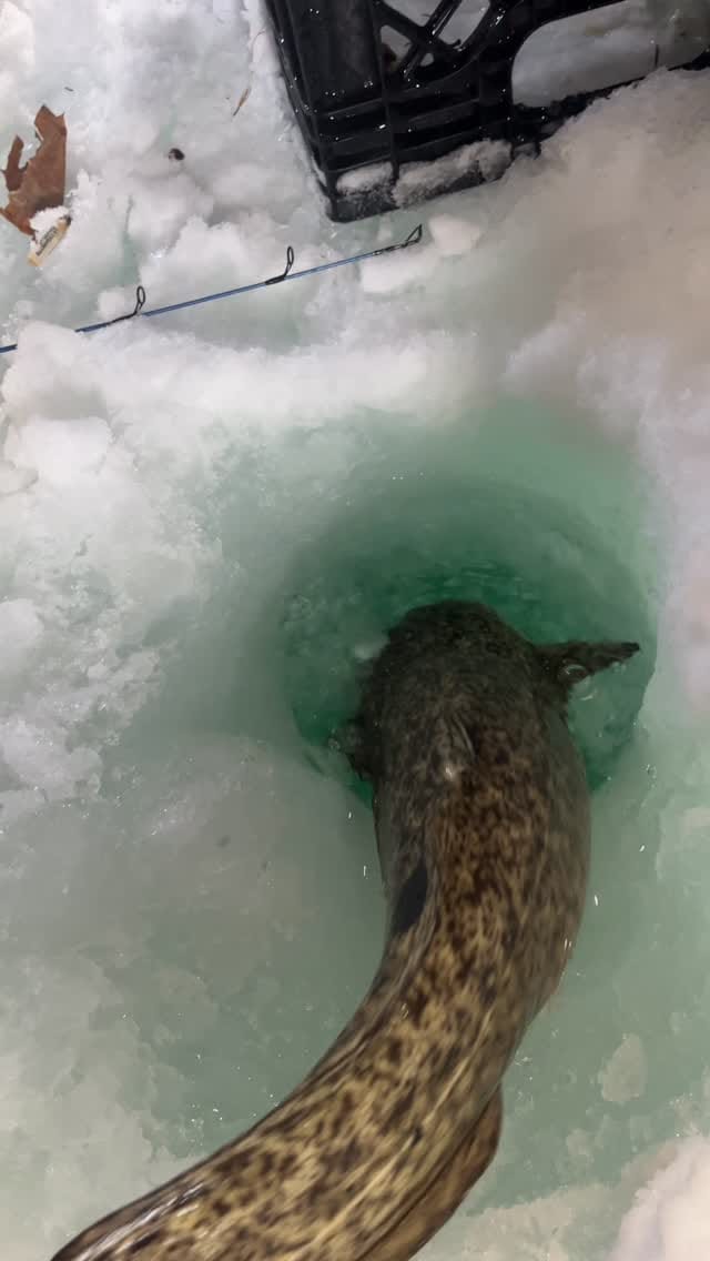 Post 8 by Rockyzone Outdoors on Instagram (video)