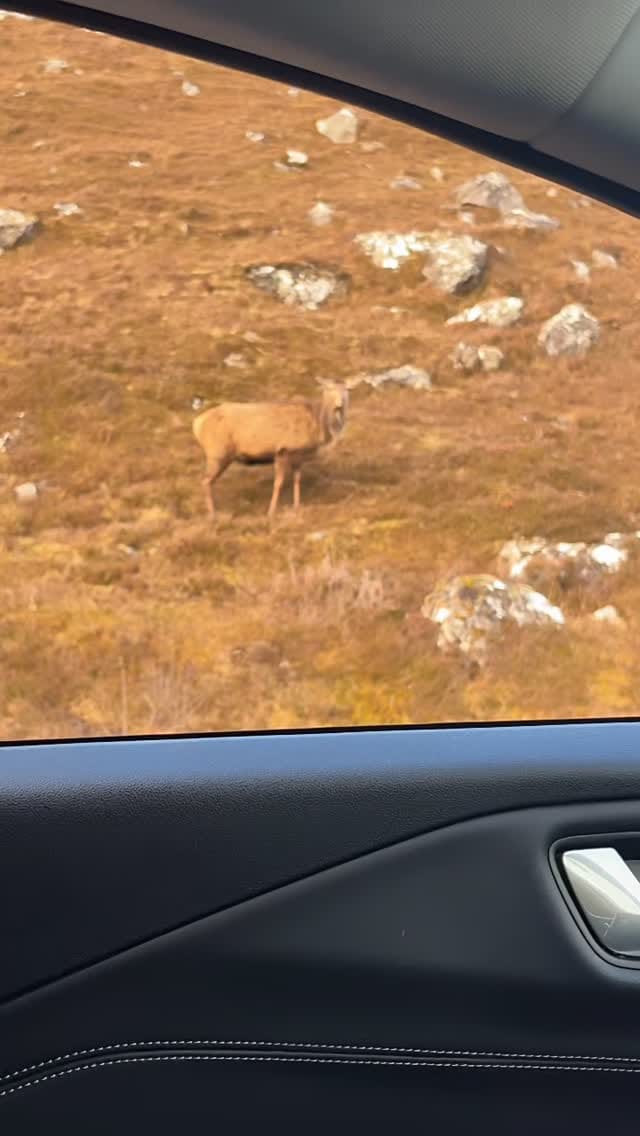 Post 2 by Rockyzone Outdoors on Instagram (video)