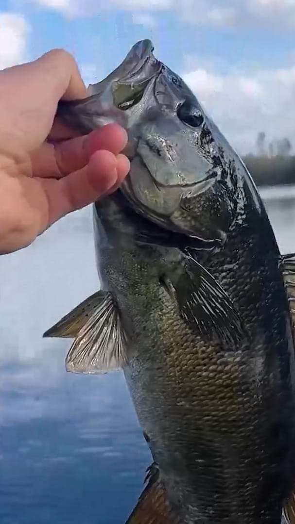 Post 3 by Rockyzone Outdoors on Instagram (video)