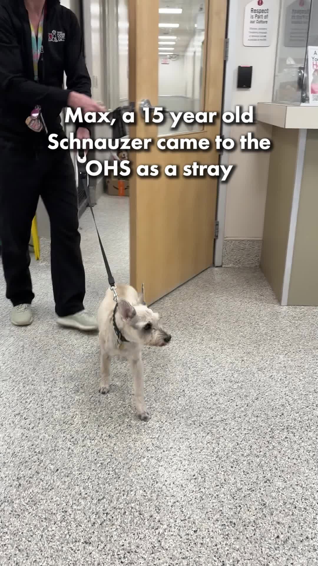 Post 3 by Ottawa Humane Society on Instagram (video)