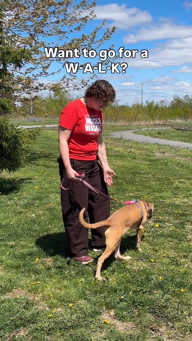 Post 9 by Ottawa Humane Society on Instagram (video)