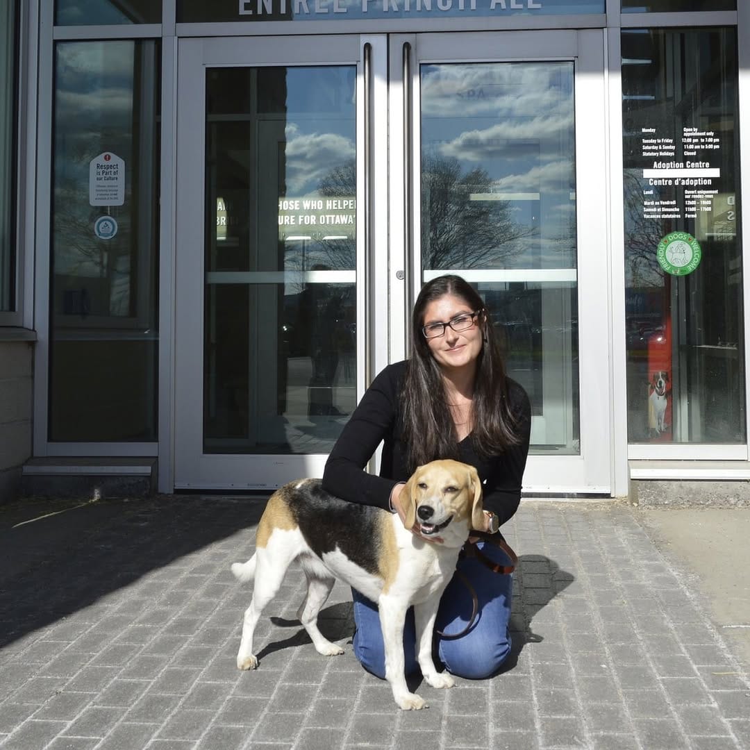 Post 7 by Ottawa Humane Society on Instagram (image)