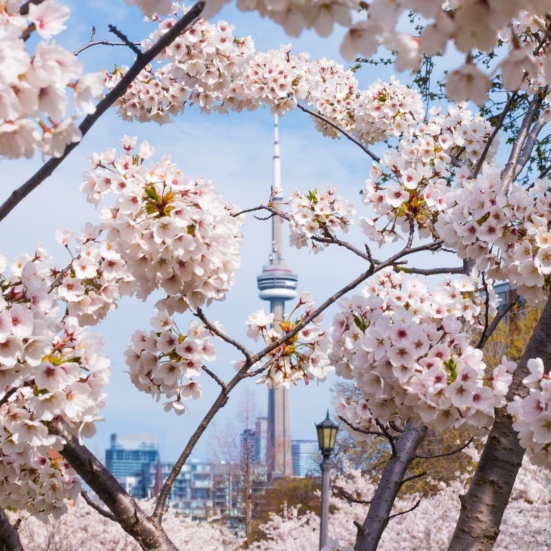 Post 2 by Toronto Insta on Instagram (image)