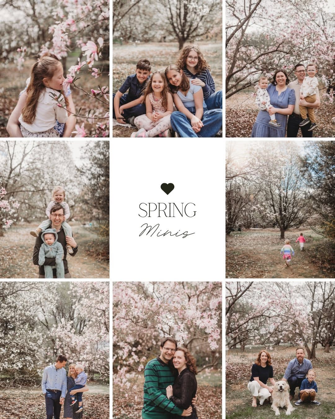 Post 3 by Sarah | Ottawa Photographer on Instagram (carousel)