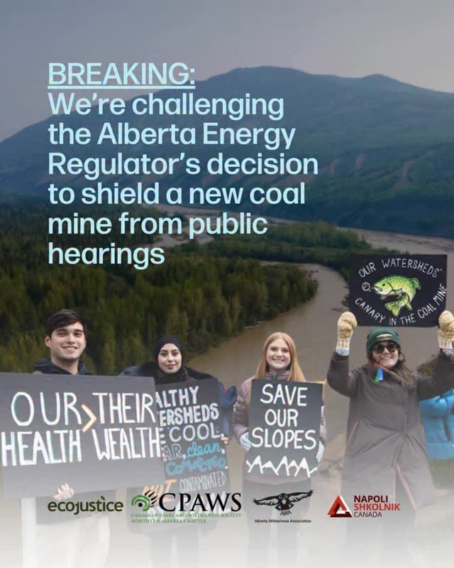 Post 6 by CPAWS Northern Alberta on Instagram (video)