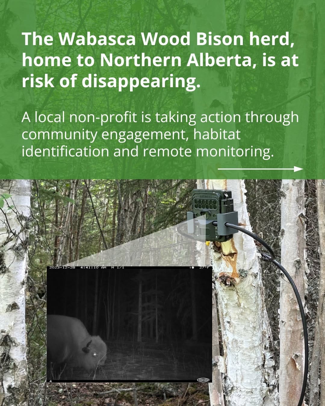 Post 4 by CPAWS Northern Alberta on Instagram (carousel)