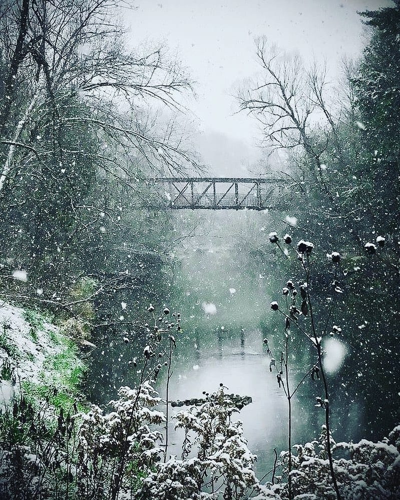 Post 7 by Toronto Feature Page on Instagram (image)