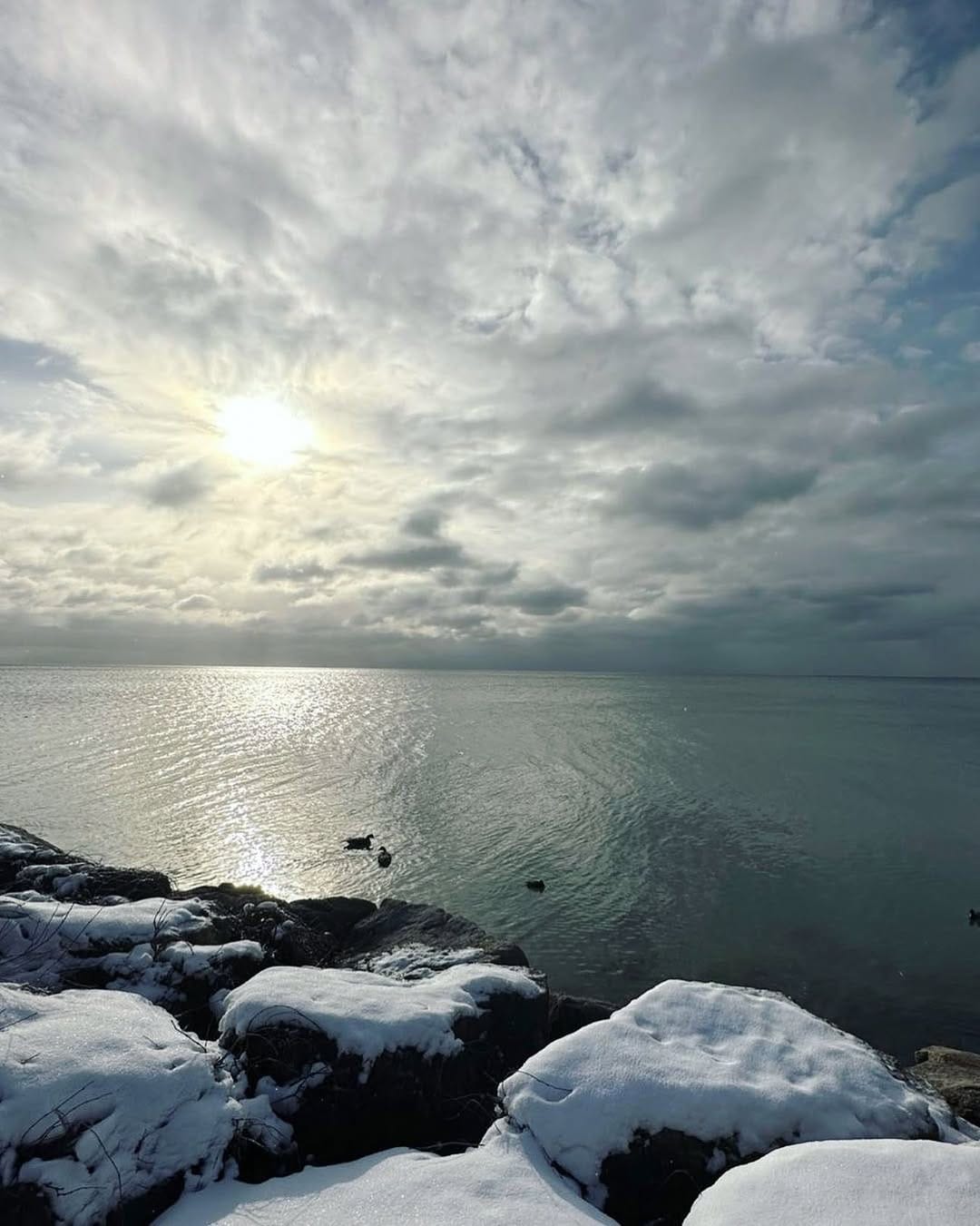 Post 4 by Toronto Feature Page on Instagram (image)