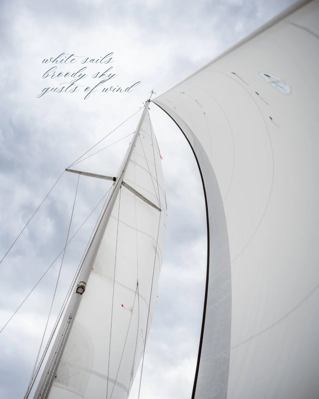 Post 3 by Gina Woods | Vancouver Island Photographer on Instagram (carousel)