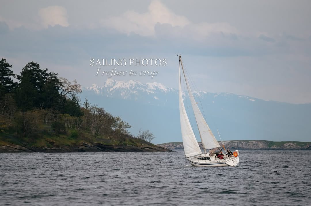 Post 8 by Gina Woods | Vancouver Island Photographer on Instagram (carousel)