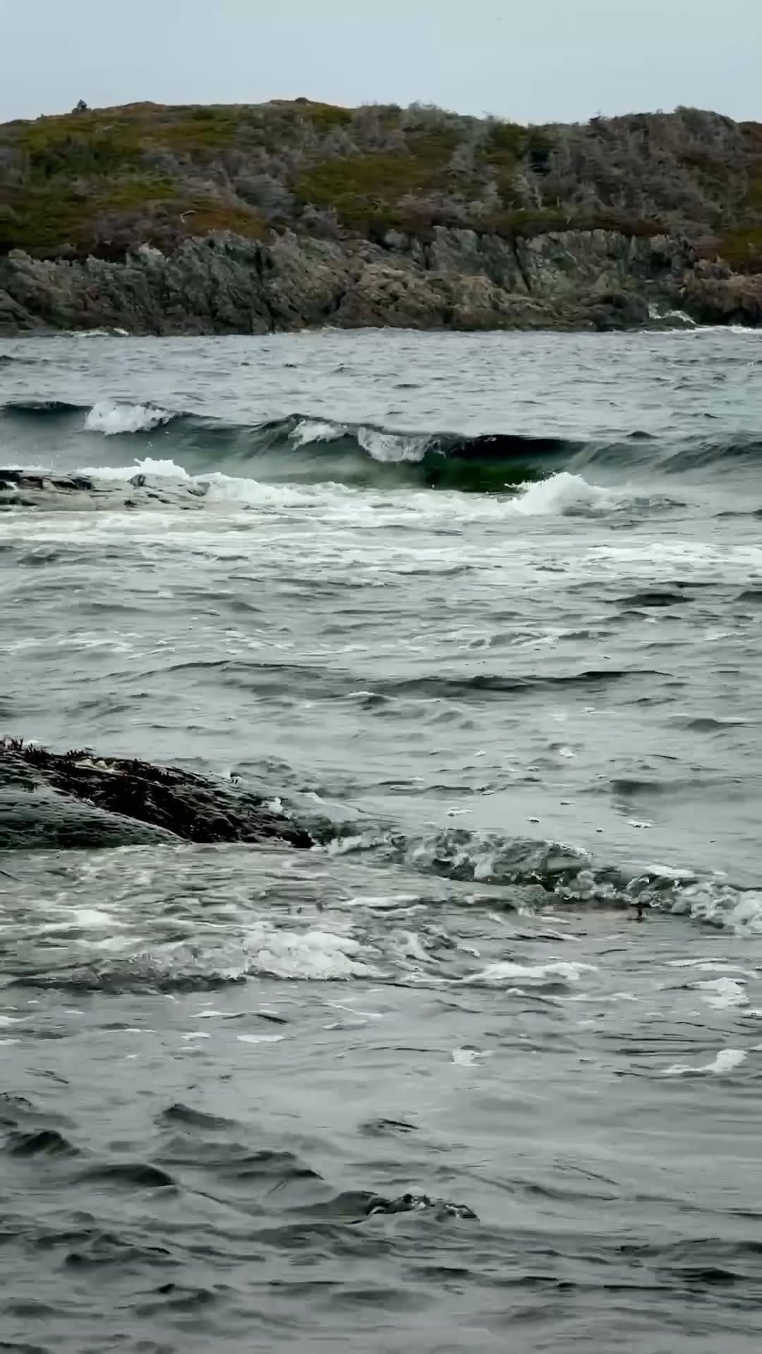 Post 2 by Shorefast on Instagram (video)