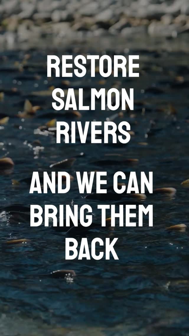 Post 4 by PACIFIC SALMON FOUNDATION on Instagram (video)