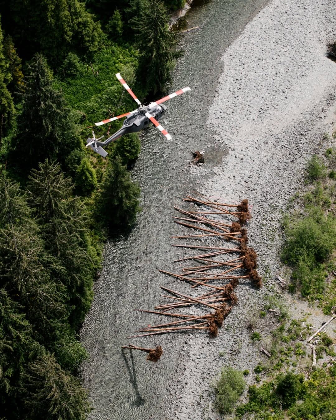 Post 7 by PACIFIC SALMON FOUNDATION on Instagram (carousel)