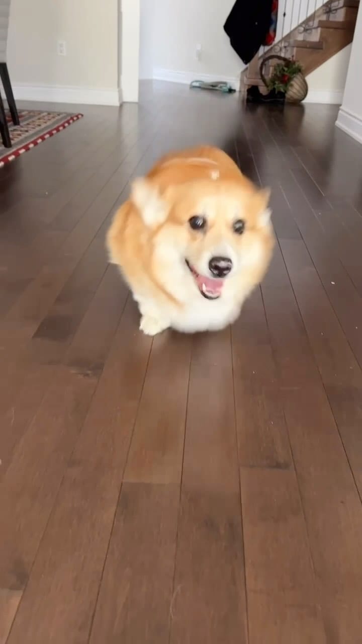 Post 1 by Mr Bean on Instagram (video)