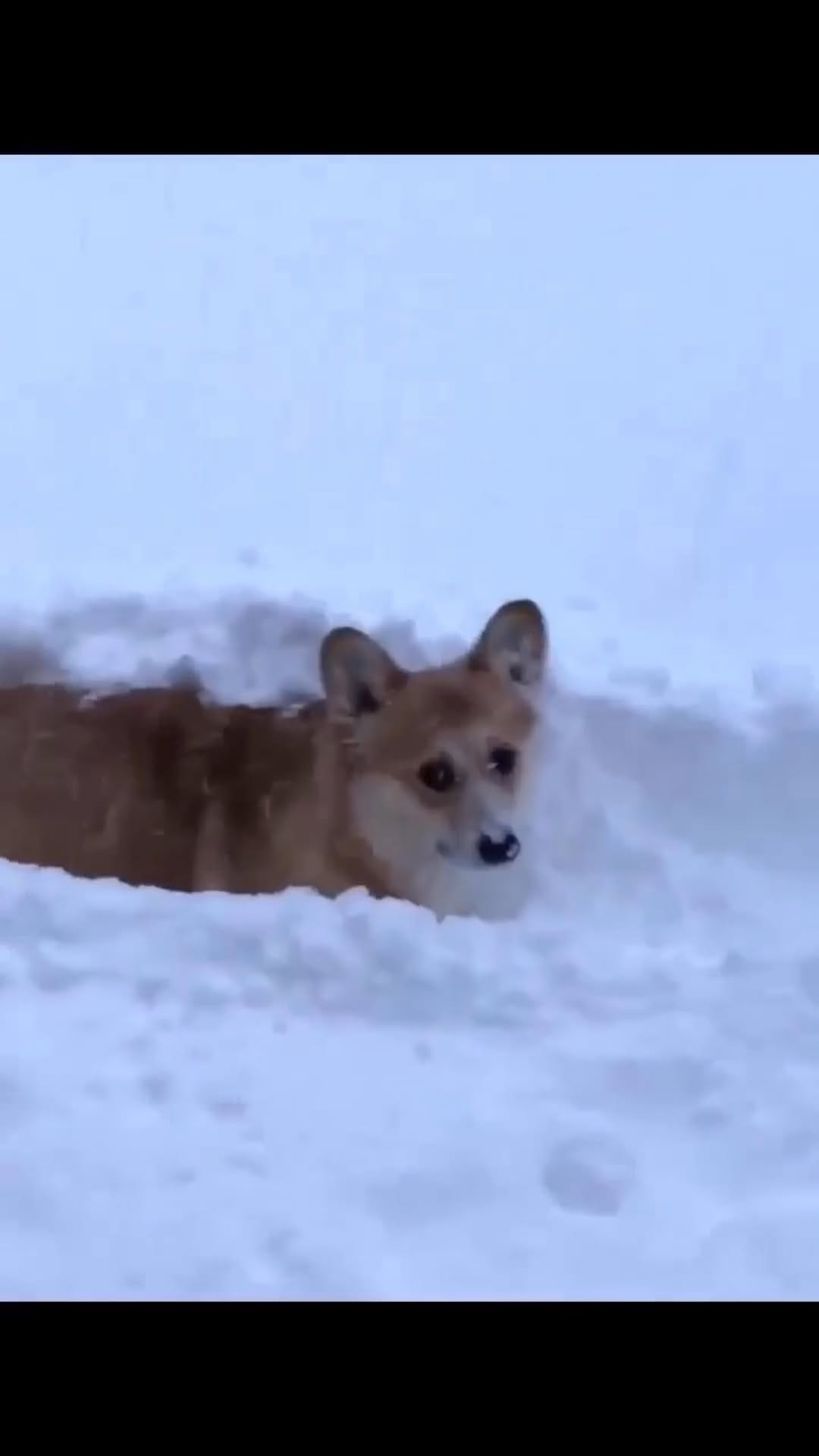 Post 3 by Mr Bean on Instagram (video)