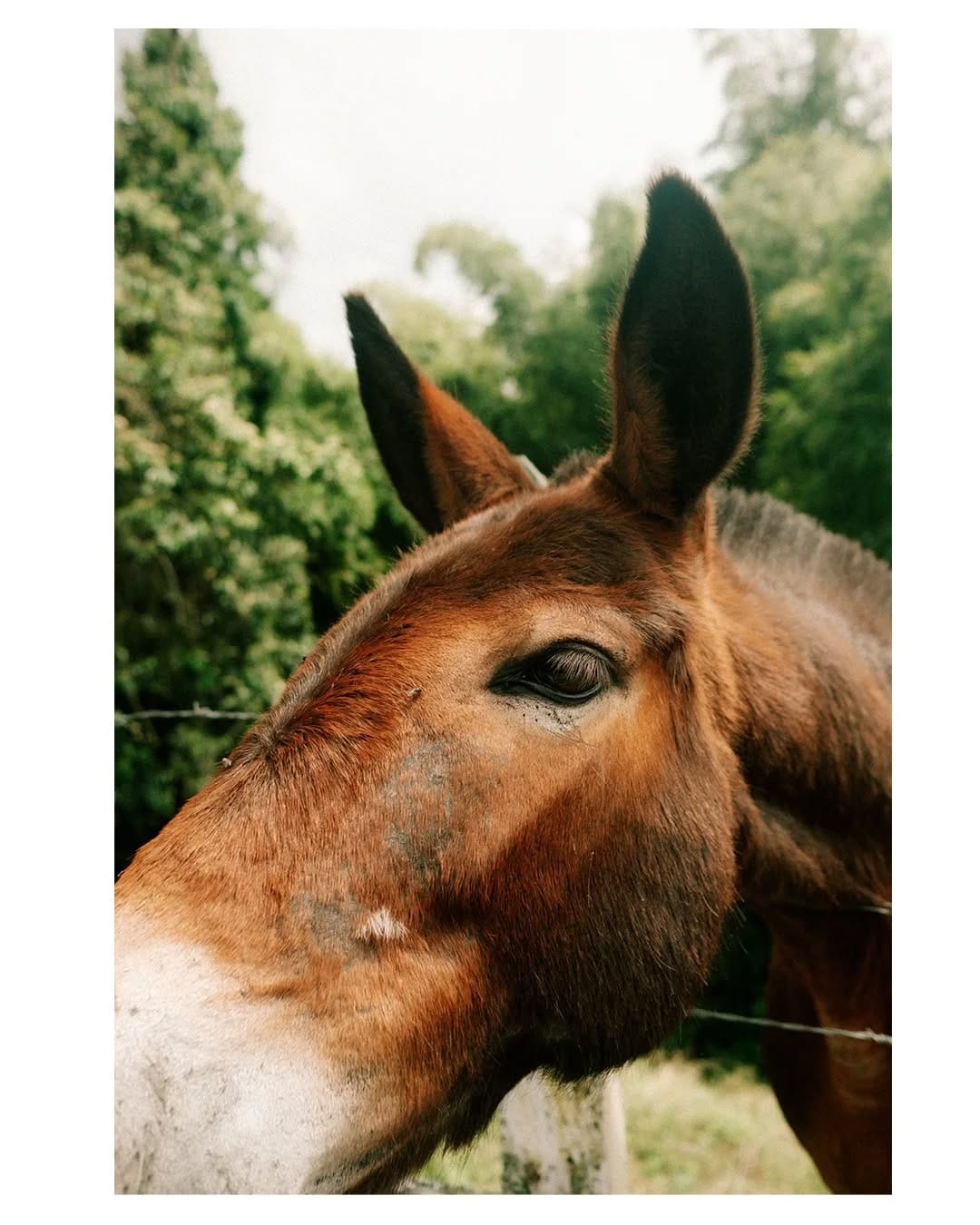 Post 8 by Daniel James Mcfadyen on Instagram (carousel)
