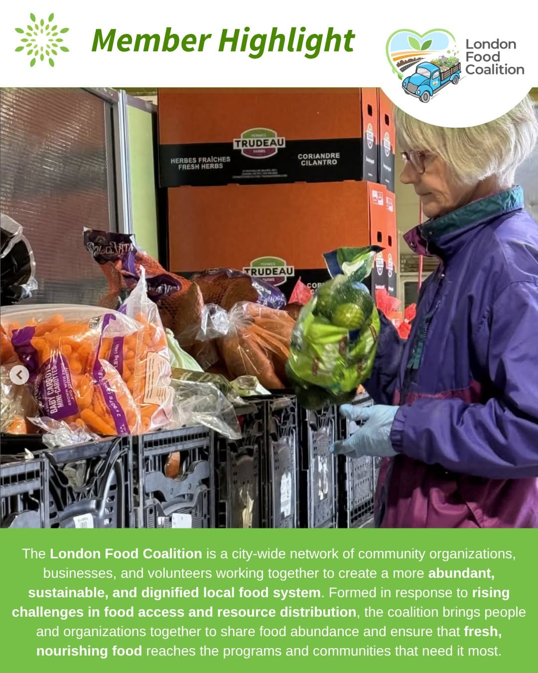 Post 9 by London Environmental Network on Instagram (carousel)