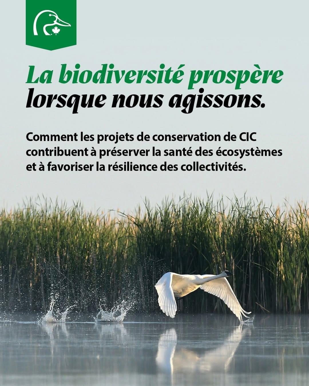 Post 7 by Ducks Unlimited Canada on Instagram (carousel)