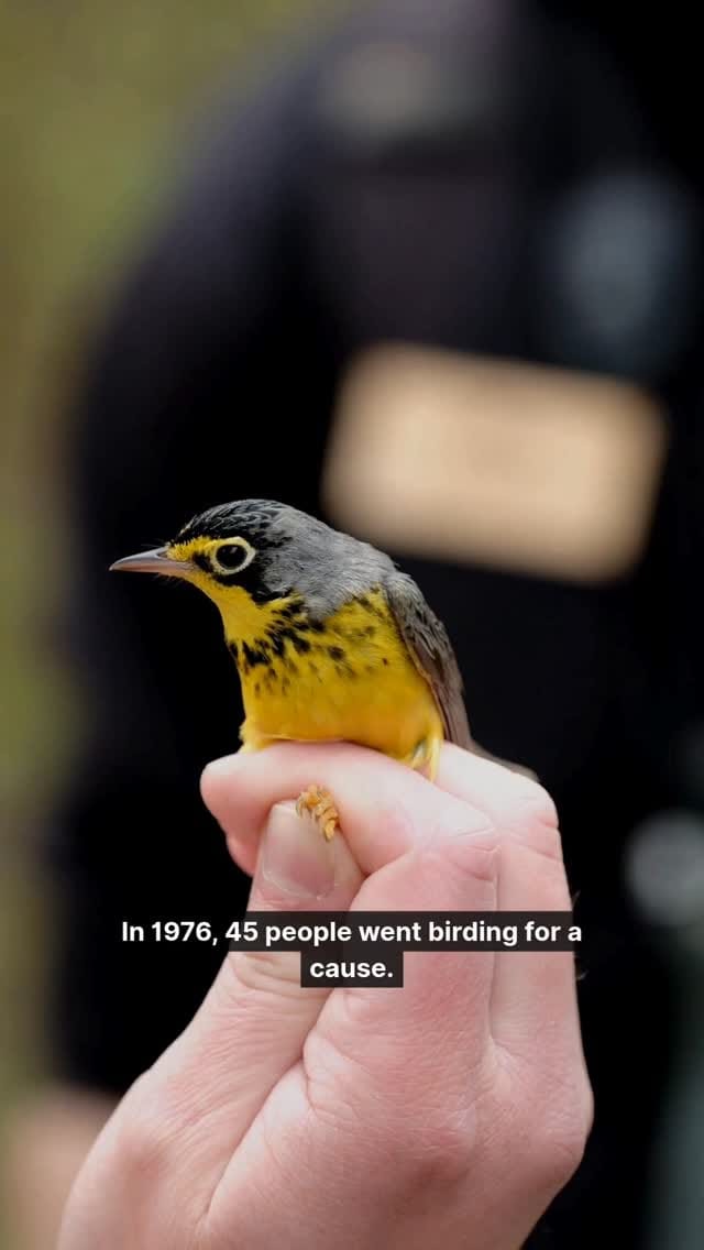 Post 1 by Birds Canada on Instagram (video)