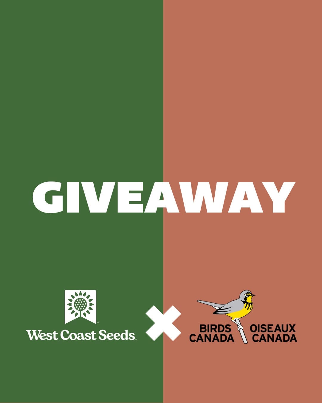 Post 6 by Birds Canada on Instagram (carousel)