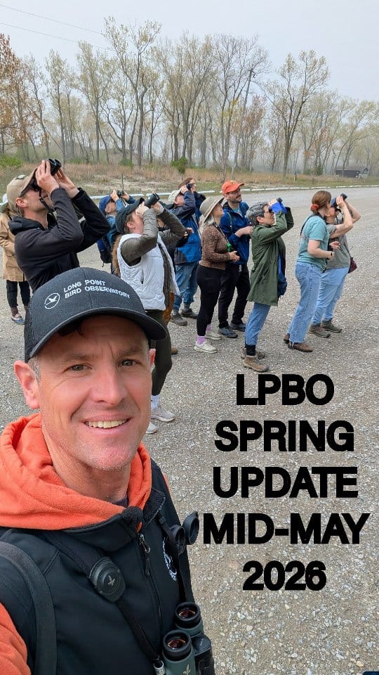 Post 9 by Birds Canada on Instagram (video)