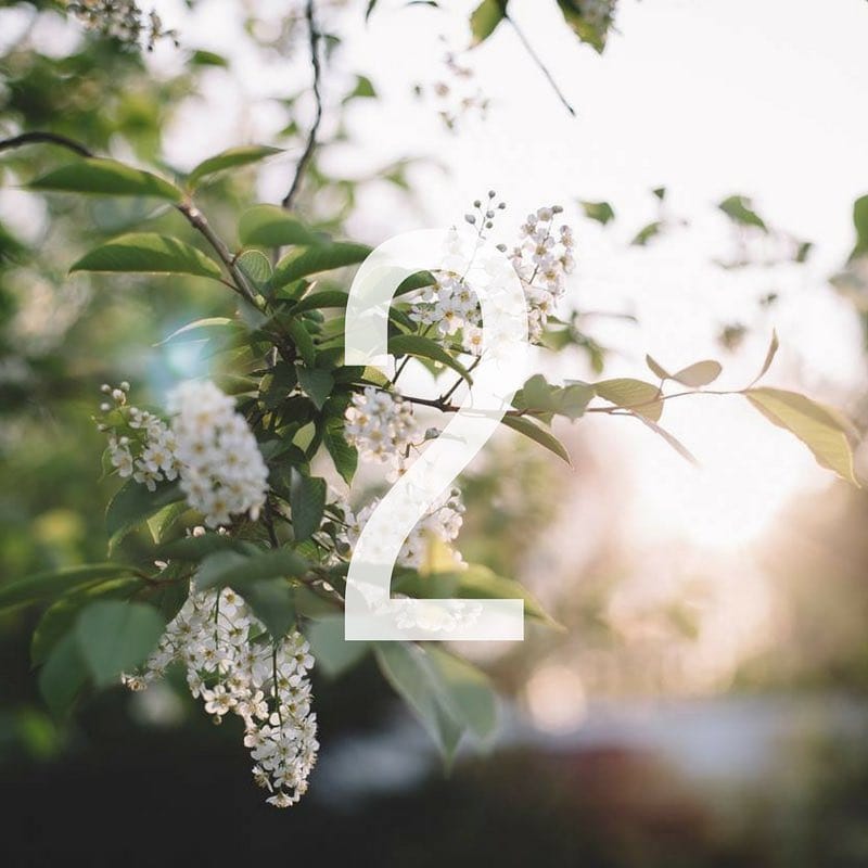 Post 8 by One Good Action on Instagram (image)