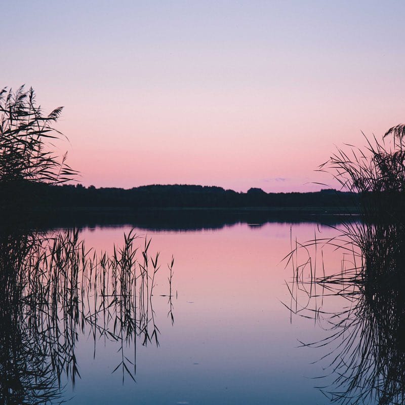 Post 6 by One Good Action on Instagram (image)