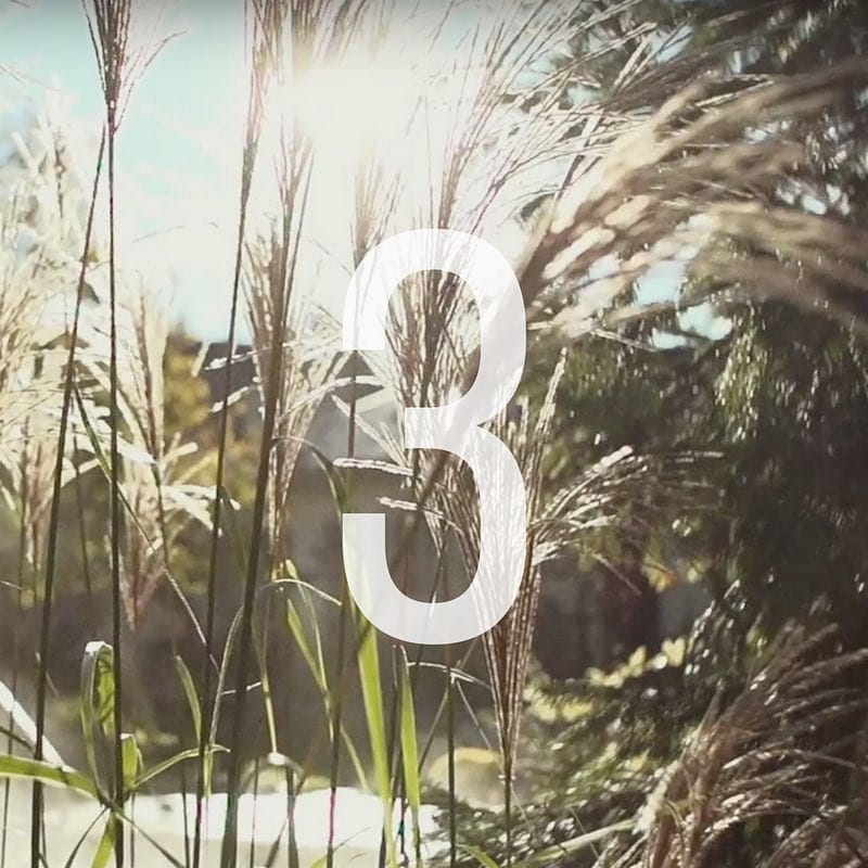 Post 9 by One Good Action on Instagram (image)
