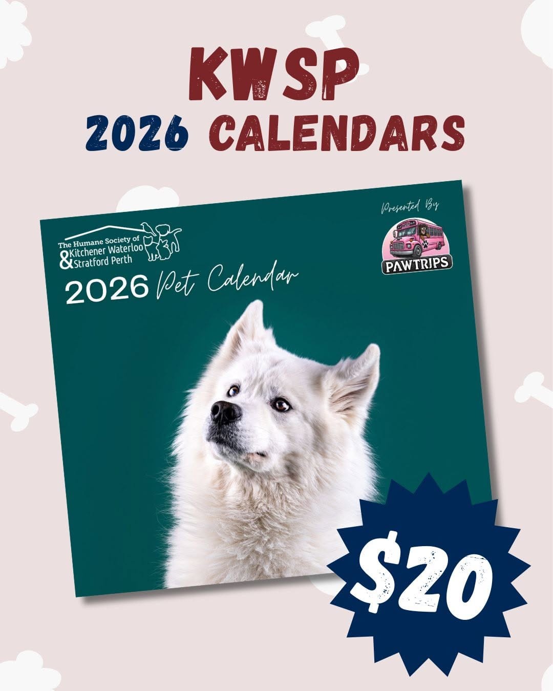 Post 10 by KW & SP Humane Society on Instagram (image)