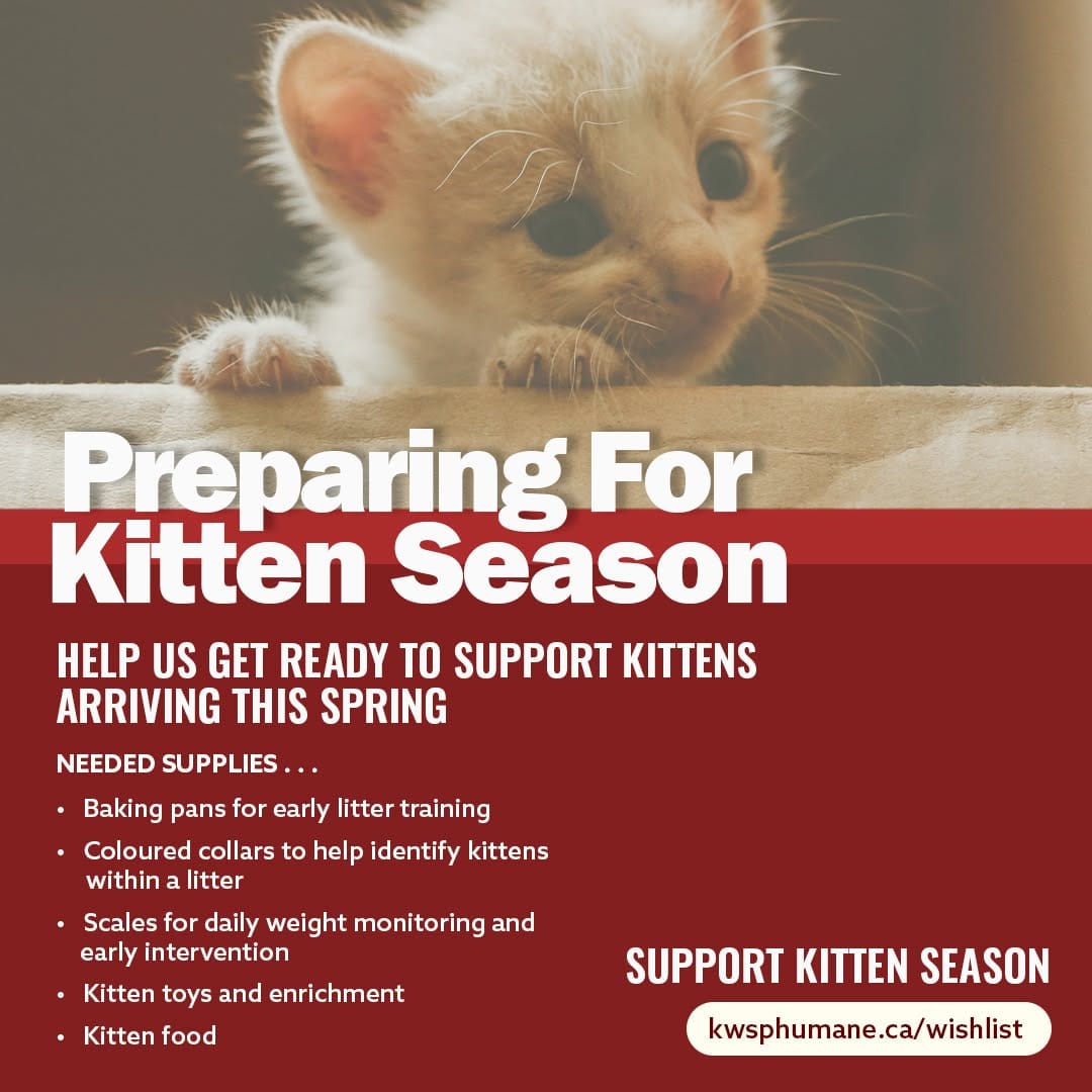Post 9 by KW & SP Humane Society on Instagram (image)