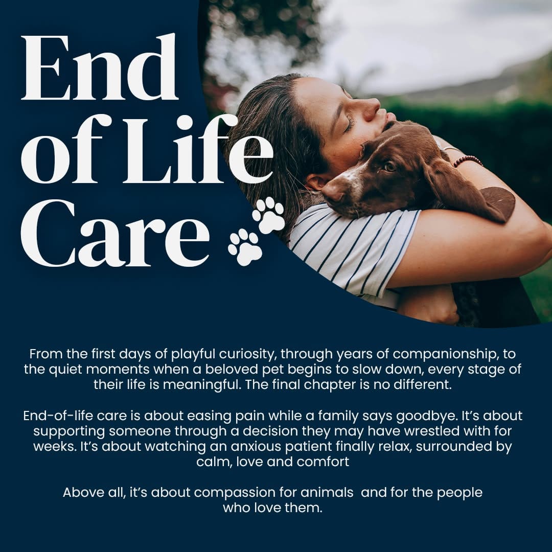 Post 2 by KW & SP Humane Society on Instagram (image)