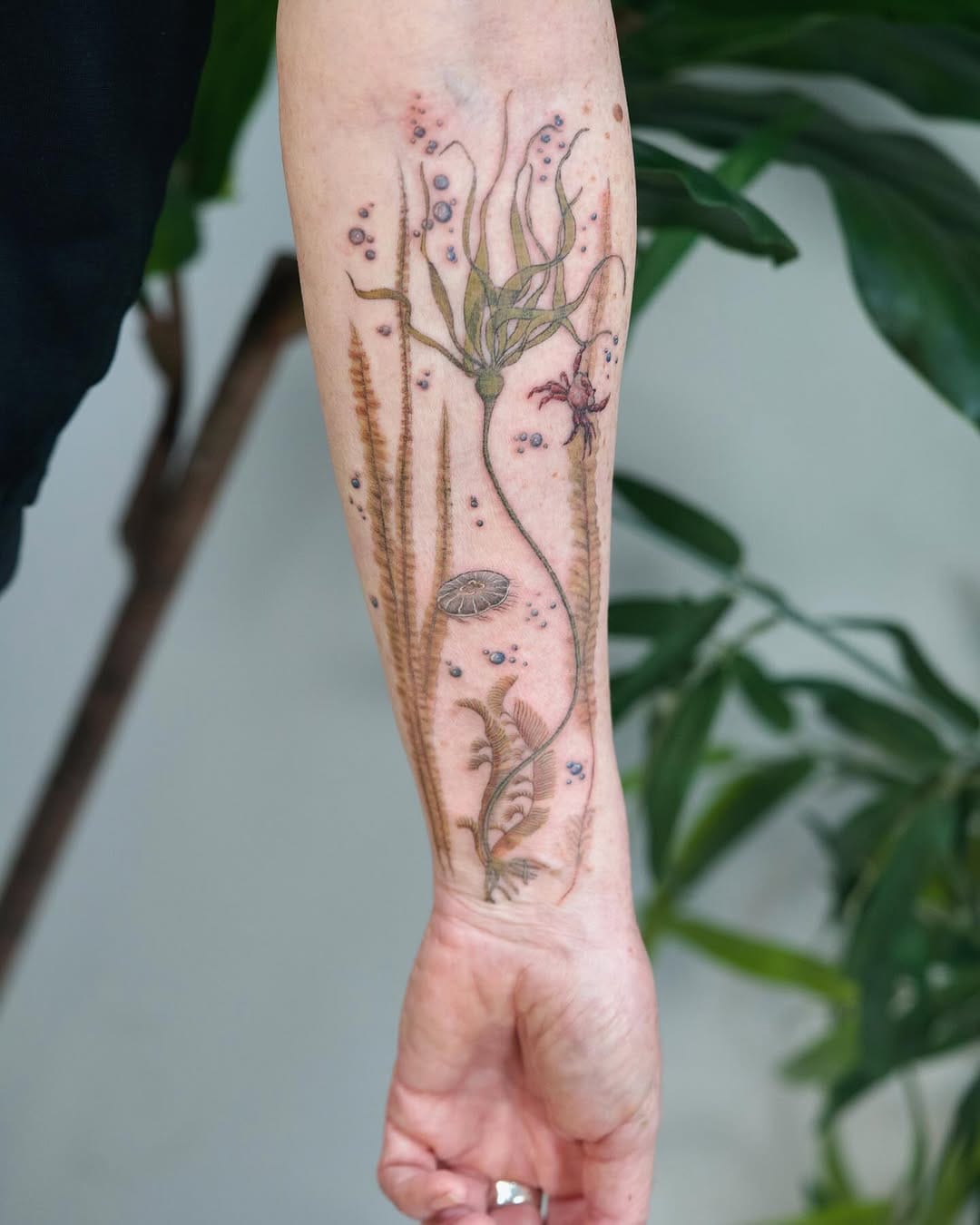 Post 8 by Fer | Vancouver botanical tattoo artist on Instagram (carousel)