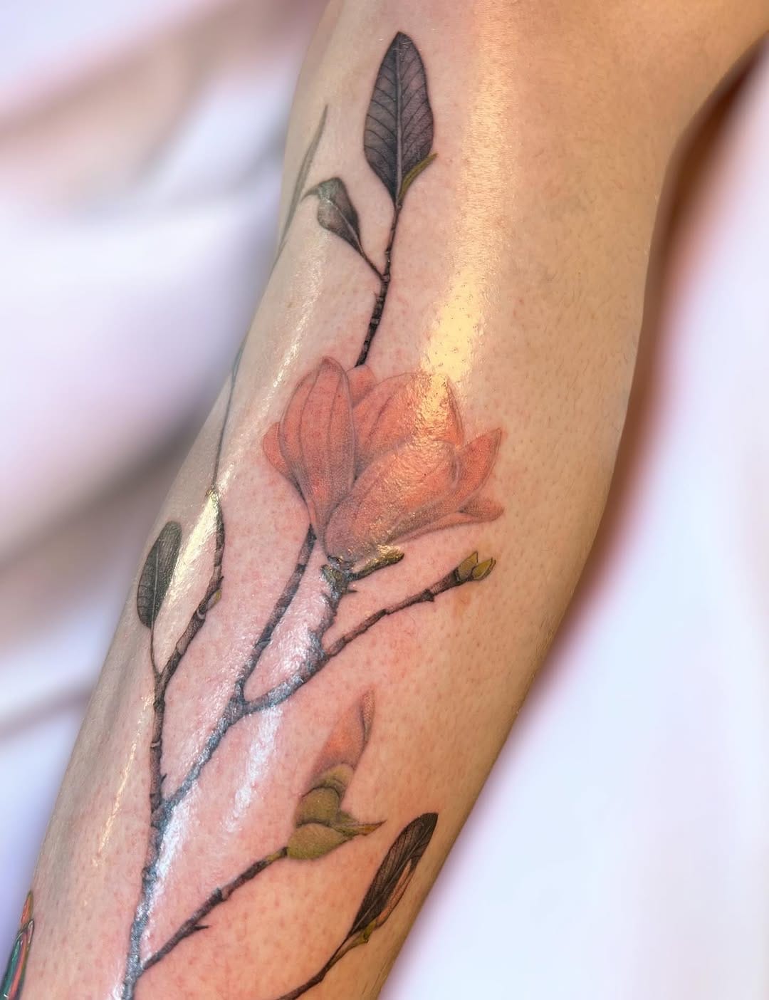 Post 10 by Fer | Vancouver botanical tattoo artist on Instagram (carousel)