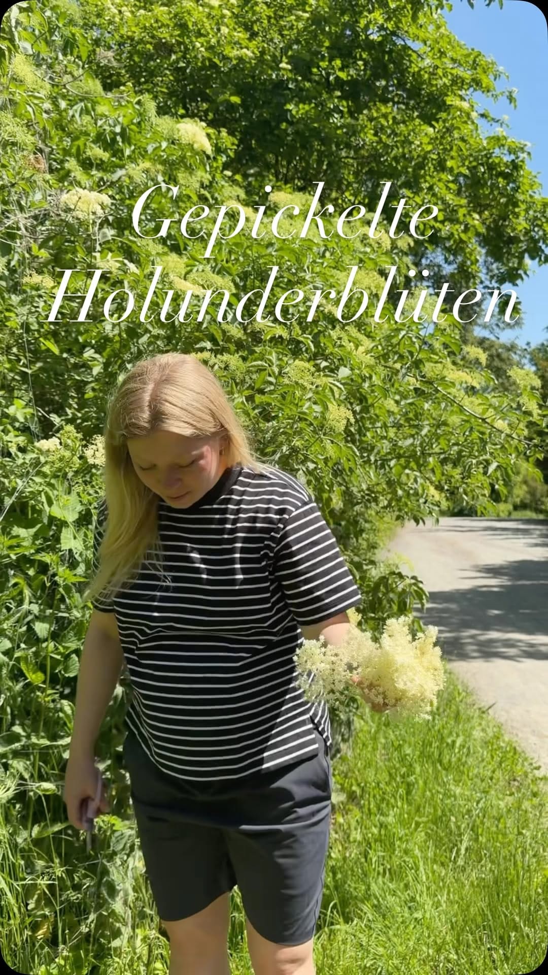 Post 2 by Hanna Reder on Instagram (video)