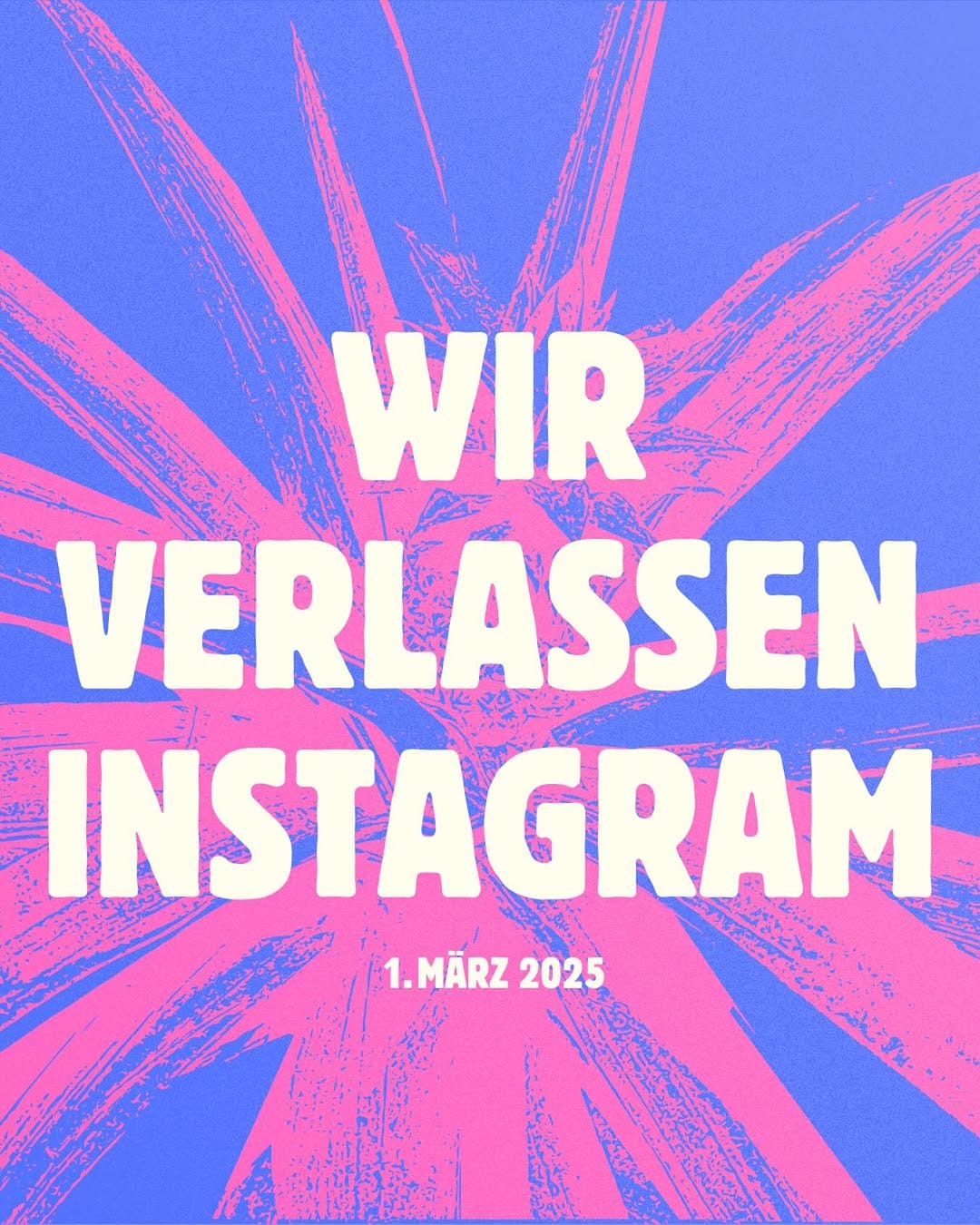 Post 5 by Quijote Kaffee on Instagram (image)