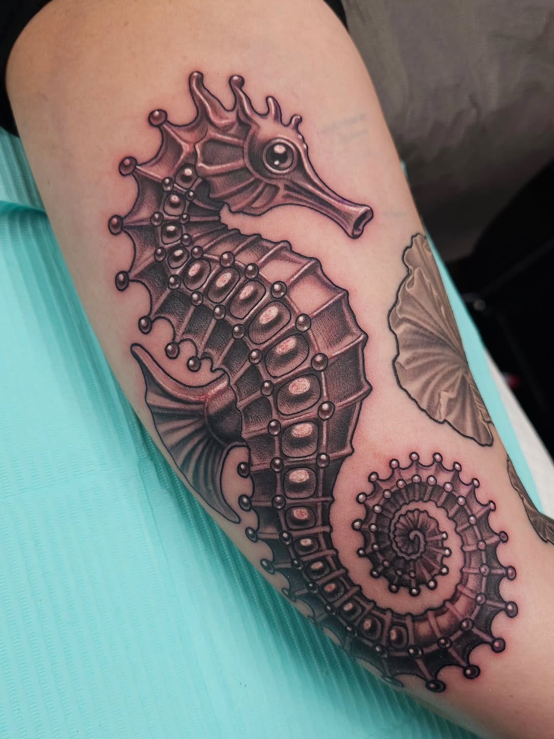 Post 2 by Kassandra Newman on Instagram (carousel)