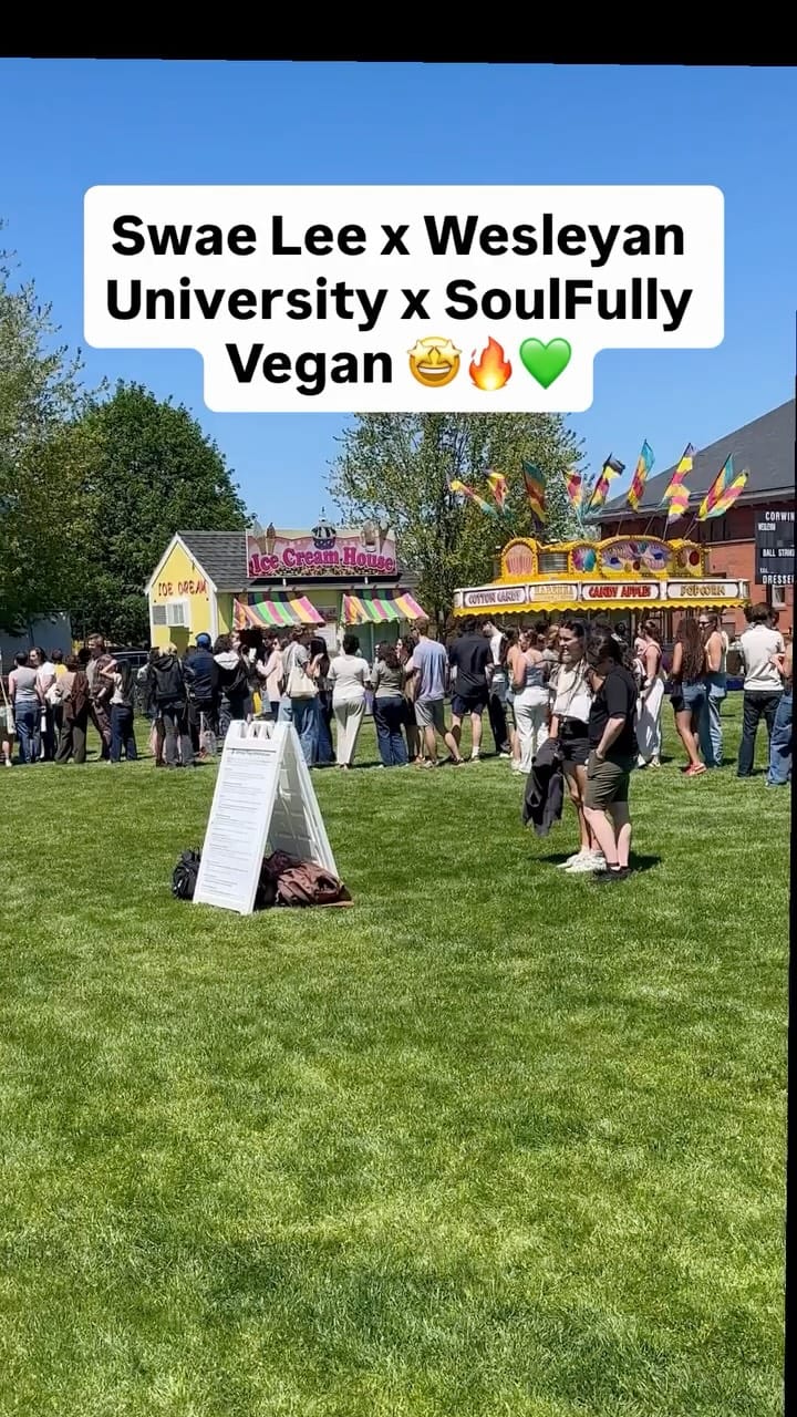 Post 3 by SoulFully Vegan on Instagram (video)