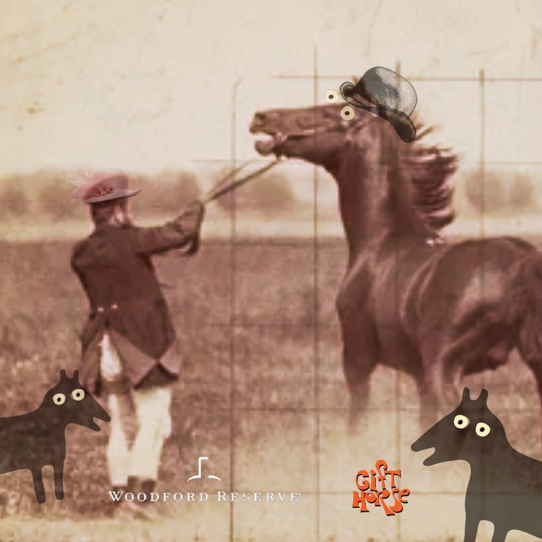 Post 1 by Gift Horse on Instagram (image)