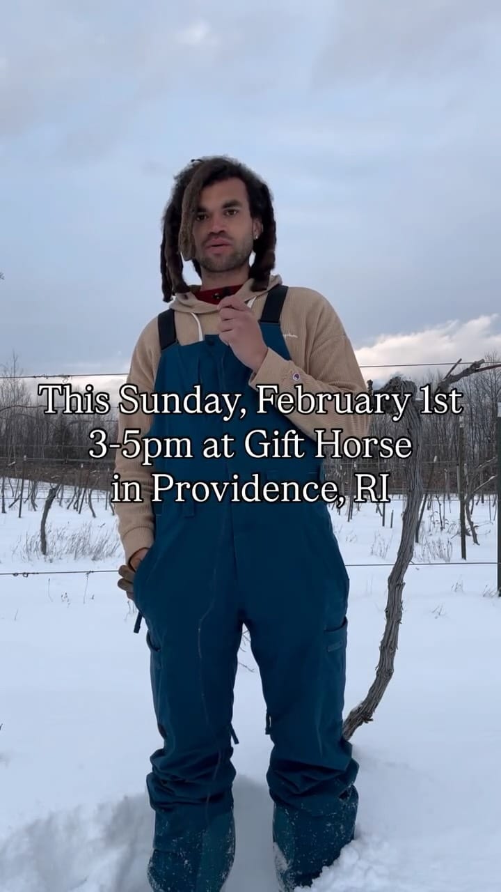 Post 9 by Gift Horse on Instagram (video)