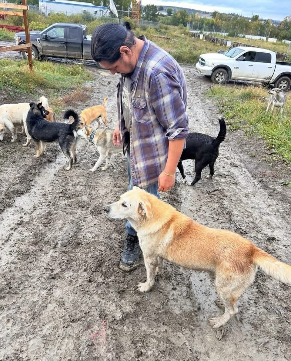 Post 10 by SaveADogNetworkCanada on Instagram (image)